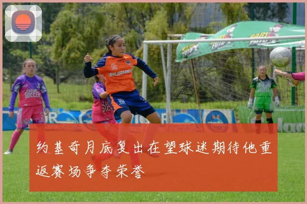 约基奇月底复出在望球迷期待他重返赛场争夺荣誉
