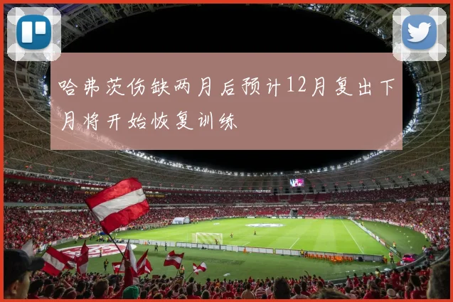 哈弗茨伤缺两月后预计12月复出下月将开始恢复训练