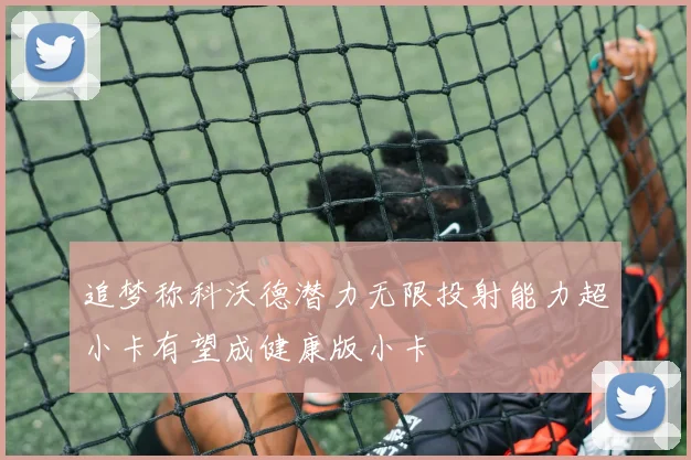 追梦称科沃德潜力无限投射能力超小卡有望成健康版小卡